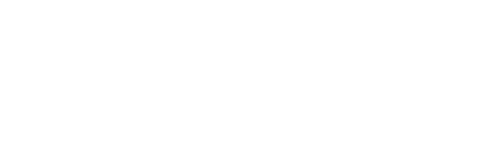 Zeeski Games Logo